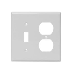 2 Gang, Plastic, 1 Toggle Switch & 1 Duplex Receptacle Combination Wall Plate